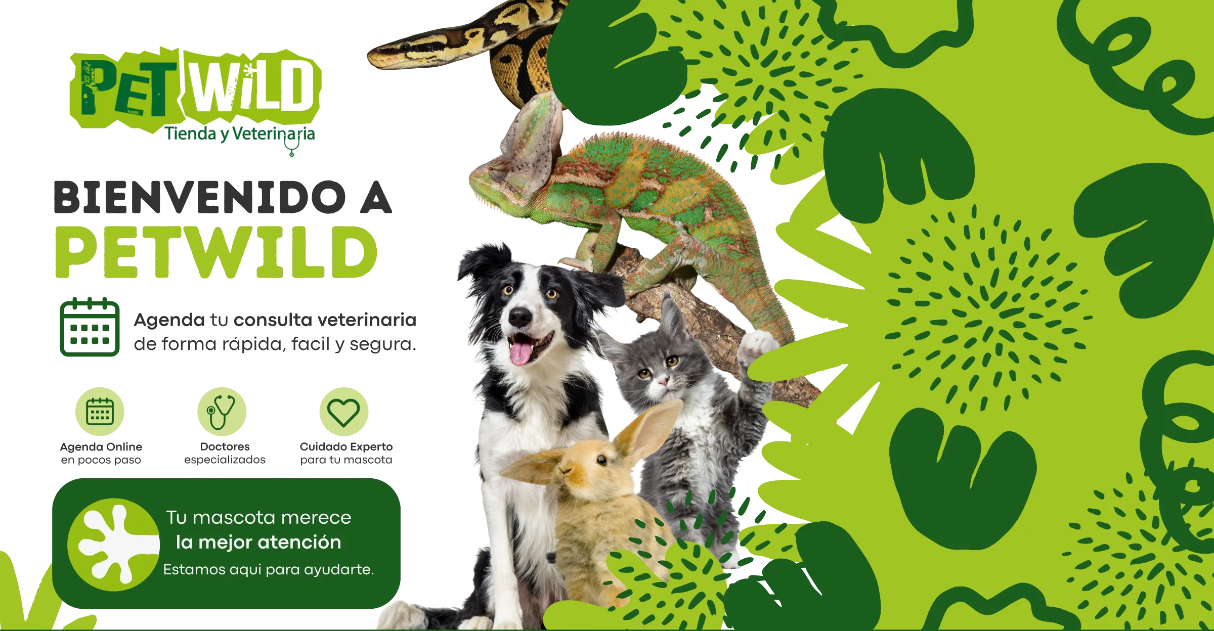 Bienvenido a PetWild. Agenda tu consulta veterinaria de forma rapida, facil y segura. Agenda online en pocos pasos, doctores especializados, cuidado experto para tu mascota.